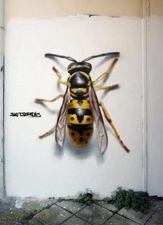 a yellow and black insect on a white wall