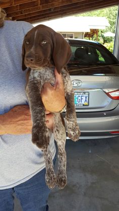 a woman holding a puppy in her arms while standing next to a silver car with it's front paws on the ground