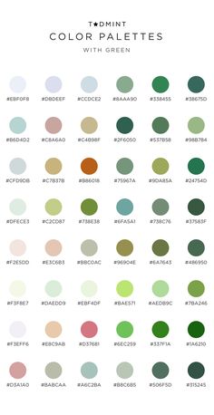 the color palettes for different types of paints and their corresponding colors are shown in this chart