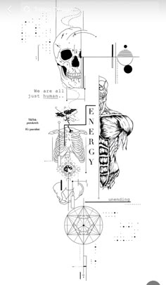 a black and white drawing of a skull with various parts on it's face