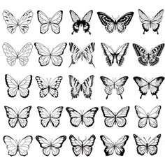 a collection of butterflies in different shapes and sizes, all drawn with black ink on white paper