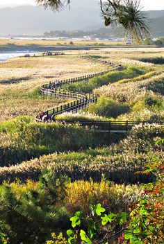 people are walking through an open field by the water