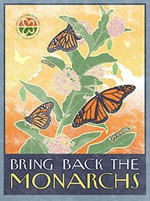 a book cover with butterflies on it and the words, bring back the monarchs