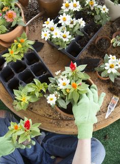 8 Pro Tips for Transforming Your Outdoor Space - Camille Styles Planting Flowers Aesthetic, Planting Flowers In Garden, Planting Aesthetic, Potting Flowers, Gardening Hobby, Potting Plants, Outdoor Hobbies, Gardening Aesthetic, Summer Gardening