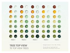 the top view of trees in different colors