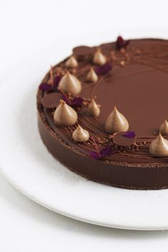 a white plate topped with a chocolate cake