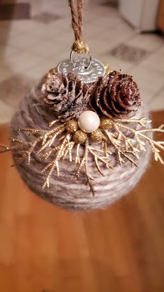 an ornament hanging from a rope with pine cones