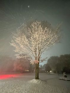 a snow covered tree in front of a red car on a snowy street at night