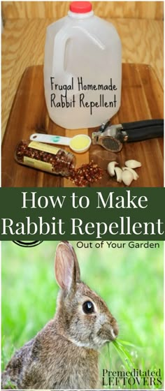 how to make rabbit repellent out of garden fertitors and other household products