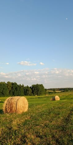 hay bales in an open field under a blue sky