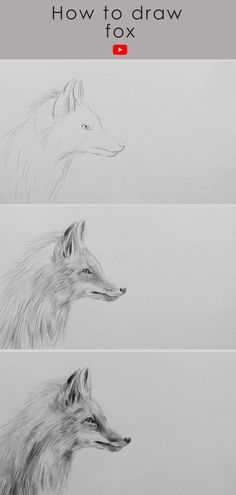 Fox drawing with pencil sketch Fox Drawing Tutorial, Fox Pencil Drawing, Fox Drawing Sketches, Fox Drawing Easy, Fox Sketch, Realistic Animal Drawings, Drawing With Pencil, Easy Animal Drawings, Pencil Drawings Of Animals