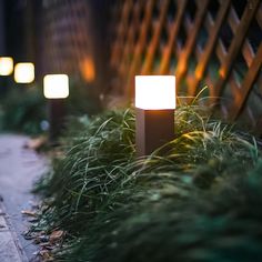 some lights that are sitting in the grass