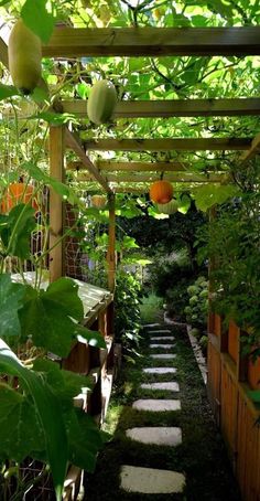 an outdoor garden with lots of plants and rocks