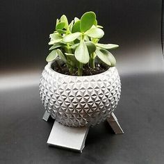 a potted plant sitting on top of a metal stand next to a black wall