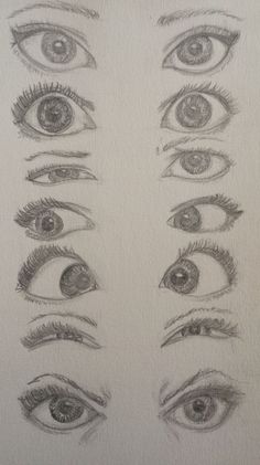 several different types of eyes drawn in pencil