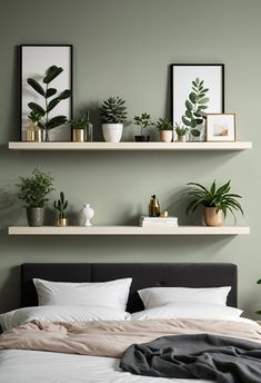 there are two shelves above the bed that have plants on it and other things in front of them