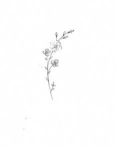 a black and white drawing of a flower