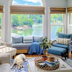 a living room filled with furniture and a dog laying on the floor next to it