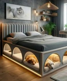 a large bed with two dogs sleeping in the bottom beds and one cat laying on top