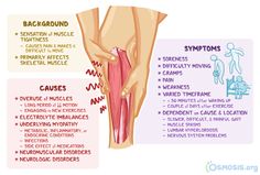 Muscle Spasms Causes, Tight Calf Muscles Relief, Calf Muscle Pain Relief, Calf Muscle Pain, Leg Muscle Pain, Ankle Taping, Knee Care, Types Of Muscles, Calf Cramps