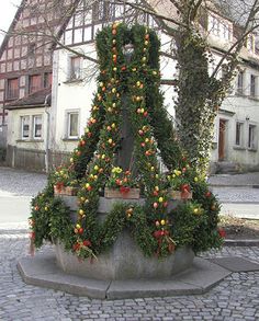 a tree with fruit on it is in the middle of a cobblestone street