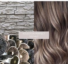 Wella Formulas Lowlights, Mushroom Brown Formula Wella, Milk Tea Hair Color Formula, Strawberry Ash Blonde Hair, Mushroom Bronde Formula, Mushroom Blonde Hair Color, Light Ash Brown Hair Color, Wella Formulas