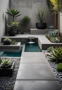 an outdoor garden with various plants and water features in the center, including succulents