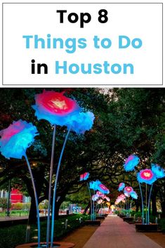 the top 8 things to do in houston