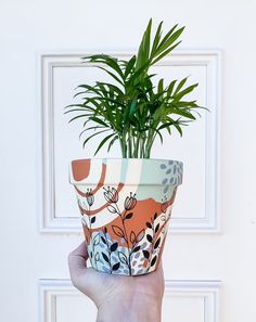 a hand holding up a potted plant in front of a door with white trim