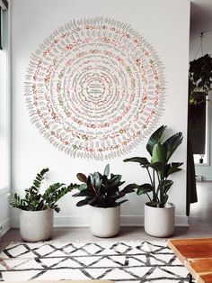 three potted plants sit in front of a large circular wall hanging on the wall