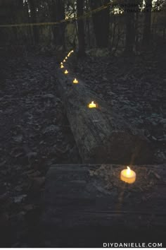 candles are lit on a log in the woods