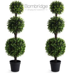 two potted trees are shown in front of the words,'bonrbridge bringing the outdoors in '