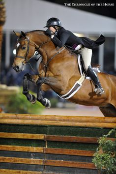 a person on a horse jumping over an obstacle in the middle of a show ring