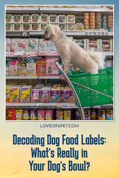 a dog sitting on top of a shopping cart in front of a grocery store with the words decoding dog food labels what's really in your dog's bowl?