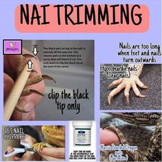 a poster with pictures of different types of animals and words describing the natural uses of nail trimming