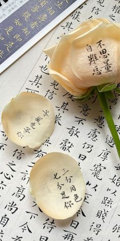 three dried flowers sitting on top of a piece of paper with chinese characters written on it