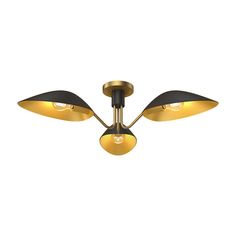 three light ceiling fixture with two lamps on each side and one in the shape of an airplane