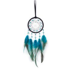 a dream catcher with feathers hanging from it's side