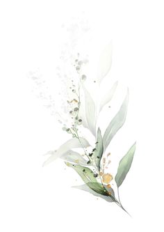 watercolor painting of white flowers and green leaves