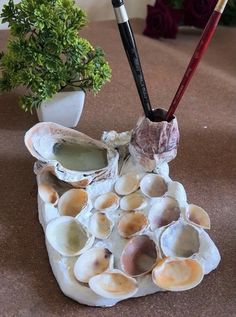 an arrangement of seashells and paintbrushes on a table next to a potted plant