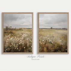 two paintings of grass and wildflowers on the wall