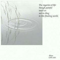 the quote is written in black and white with water ripples around it, as well as reeds