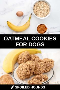 oatmeal cookies for dogs with bananas, peanut butter and other ingredients to make them