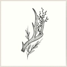 an ink drawing of a deer's antlers with leaves and branches on it