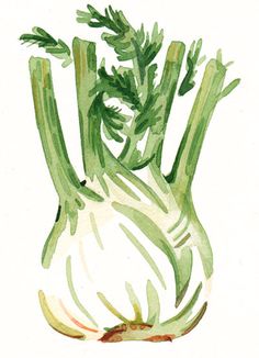 a drawing of an onion with green leaves