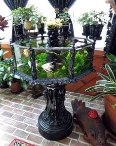 there is a fish tank in the center of this table with plants and other decorations