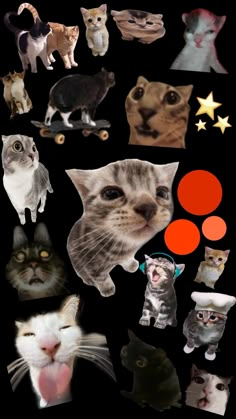 many different pictures of cats on a black background