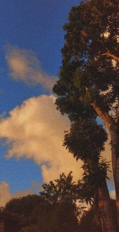 the sky is blue and white with some clouds in it, as well as trees