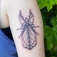 a black and white drawing of a bug on the back of a woman's arm