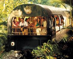 people are riding on the top of a train in the jungle with trees and plants